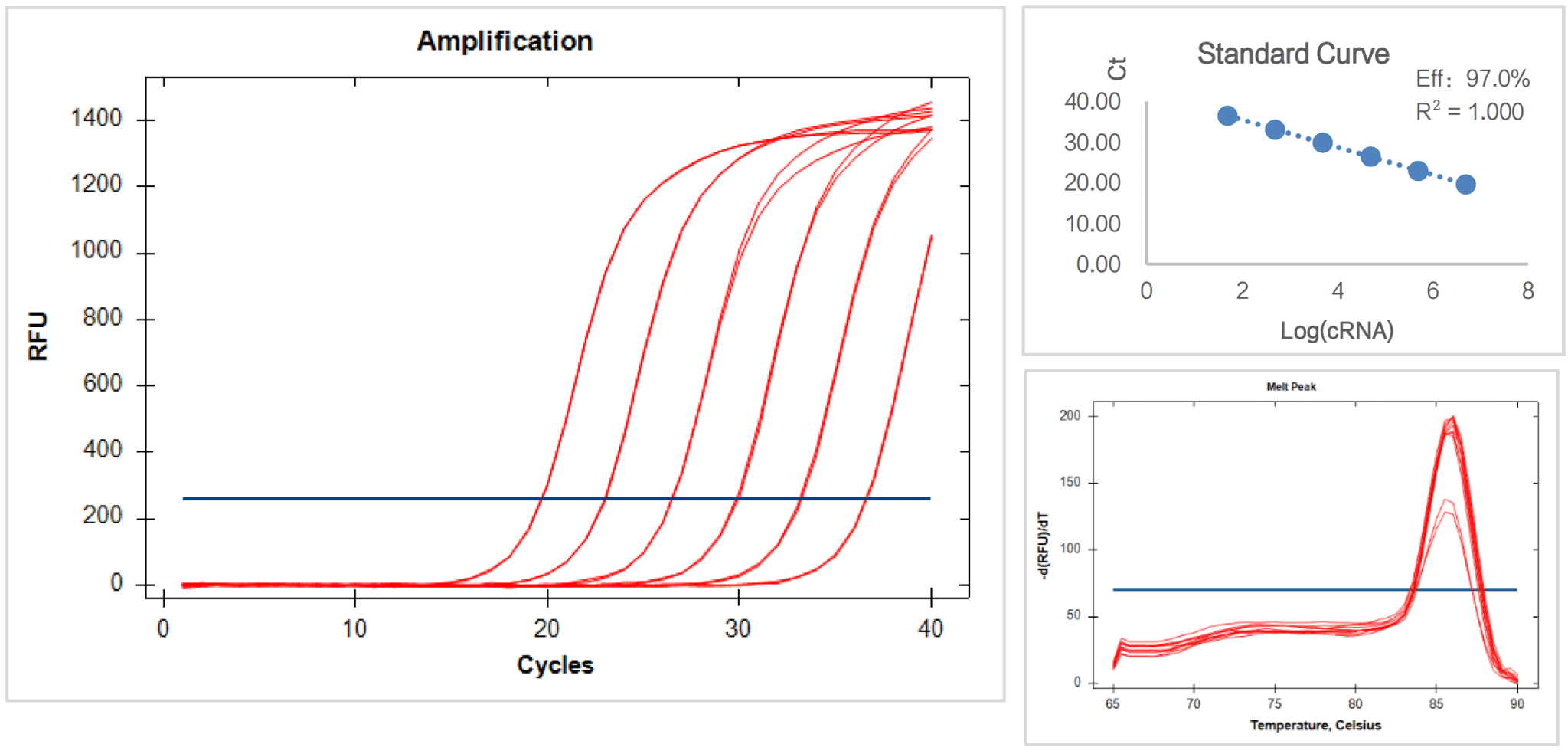 Sybr Green Pro Taq Hs Qpcr Rox