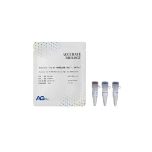 <i>Accurate Taq</i> HS DNA 聚合酶（Mg<sup>2+</sup>+、dNTPs+）