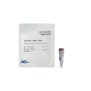 重组型 RNase 抑制剂（猪源）