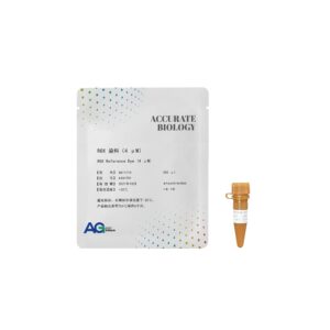 ROX 染料（4μM）