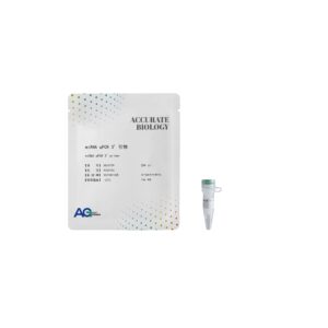 miRNA qPCR 3’引物