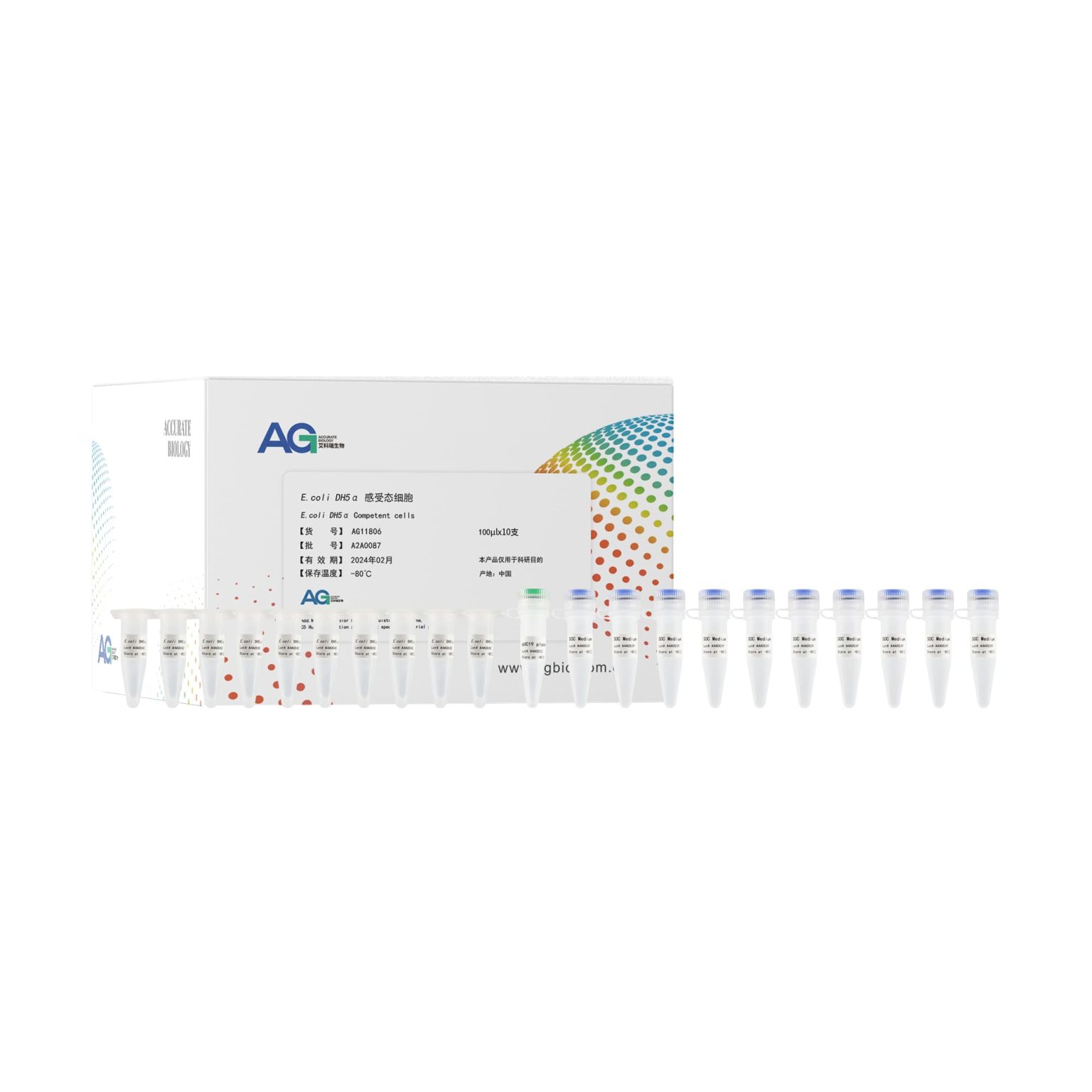 E.coli DH5α 感受态细胞 – 艾科瑞生物