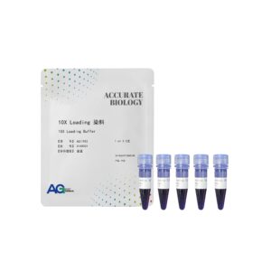 10X Loading 染料