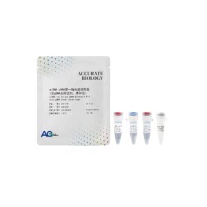 miRNA cDNA第一链合成试剂盒 (含 gDNA 去除试剂，茎环法)