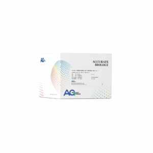 <i>AccuNext</i> 单细胞全基因组 DNA 扩增试剂盒（MDA）Ver.2