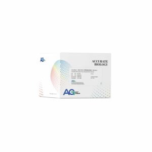 <i>AccuNext</i> 一步法DNA 文库制备试剂盒（Illumina）